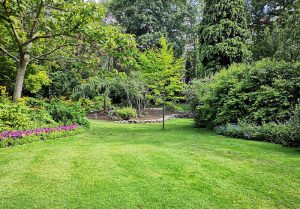 Optimiser l'expérience du jardin à Sully-la-Chapelle