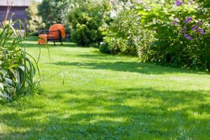 travaux jardin et paysage Sully-la-Chapelle